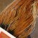 画像2: 【WHITING】 Rooster Saddle BronzeGrade Furnace #14-16 No.2 (2)