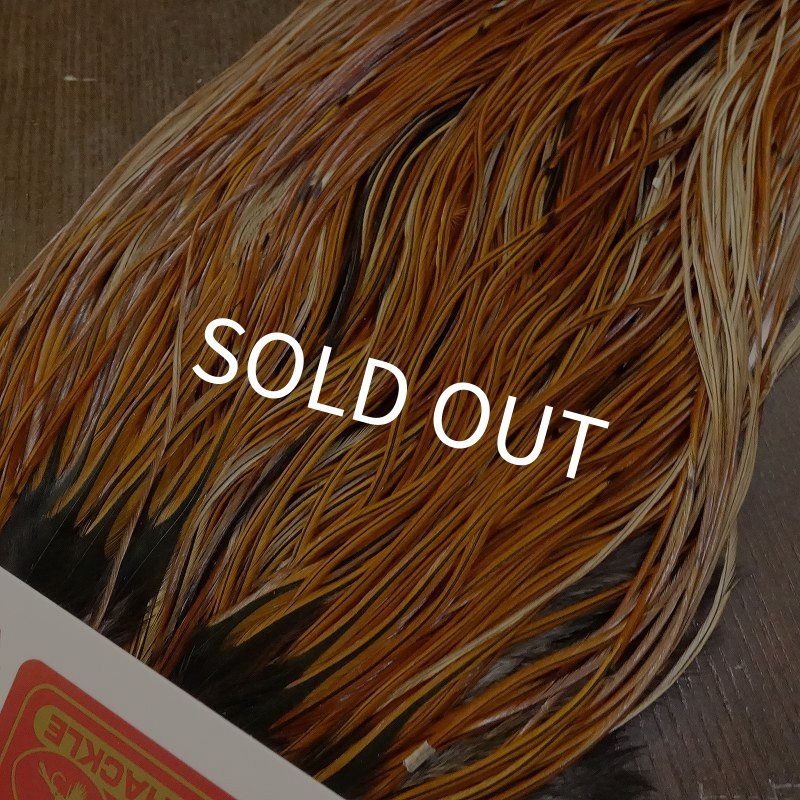 画像2: 【WHITING】 Rooster Saddle BronzeGrade Furnace #14-16 No.2 (2)