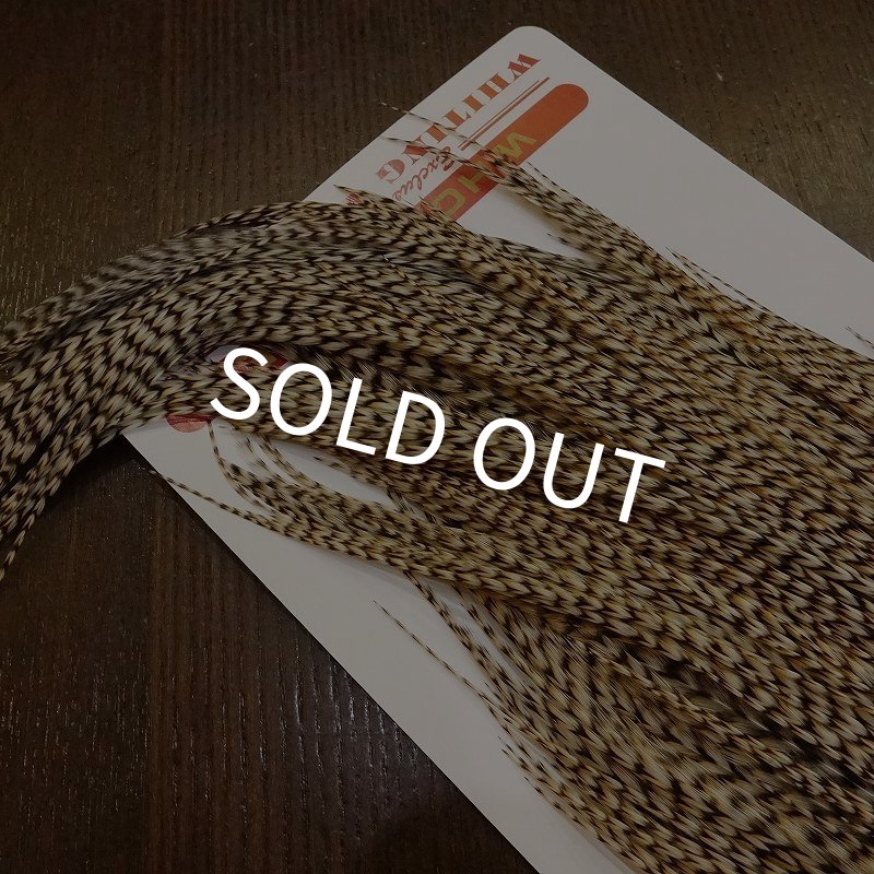 画像5: 【WHITING】Silver Grade Cape Unique Variant (5)