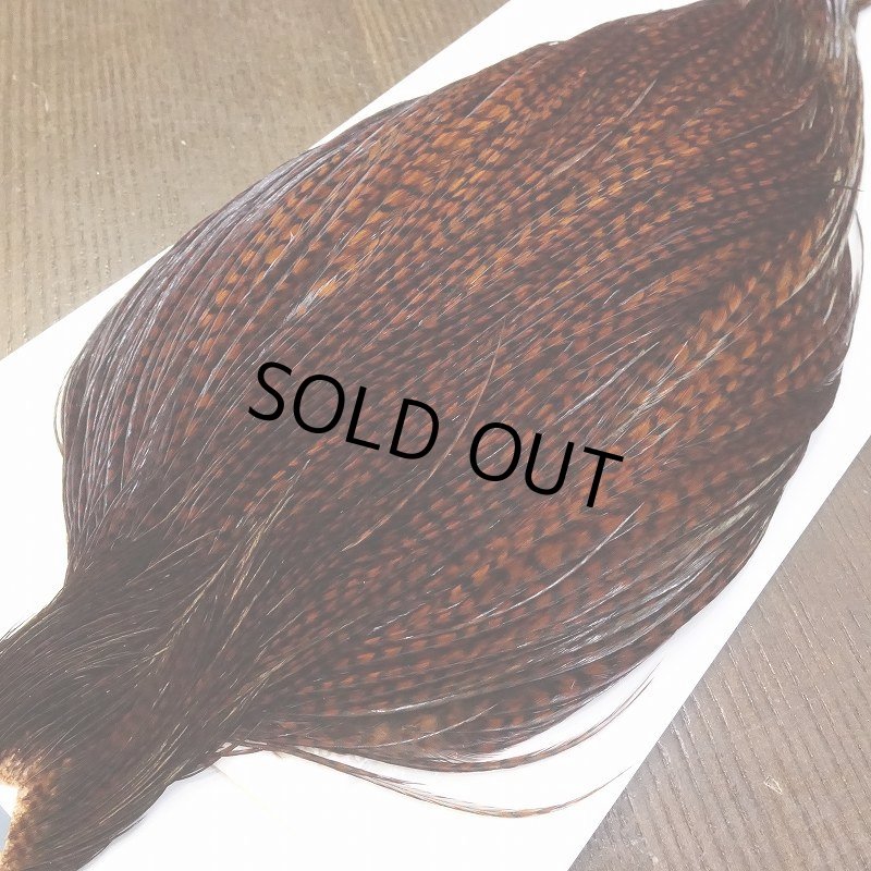 画像2: 【WHITING】High&Dry Cape Dyed Grizzly Coachman Brown (2)