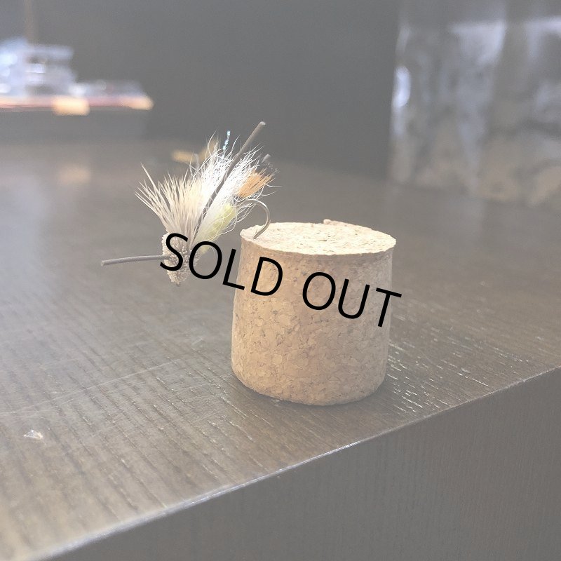 画像1: 【Rainy's】タランチュラ (1)