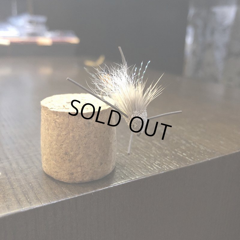 画像2: 【Rainy's】タランチュラ (2)