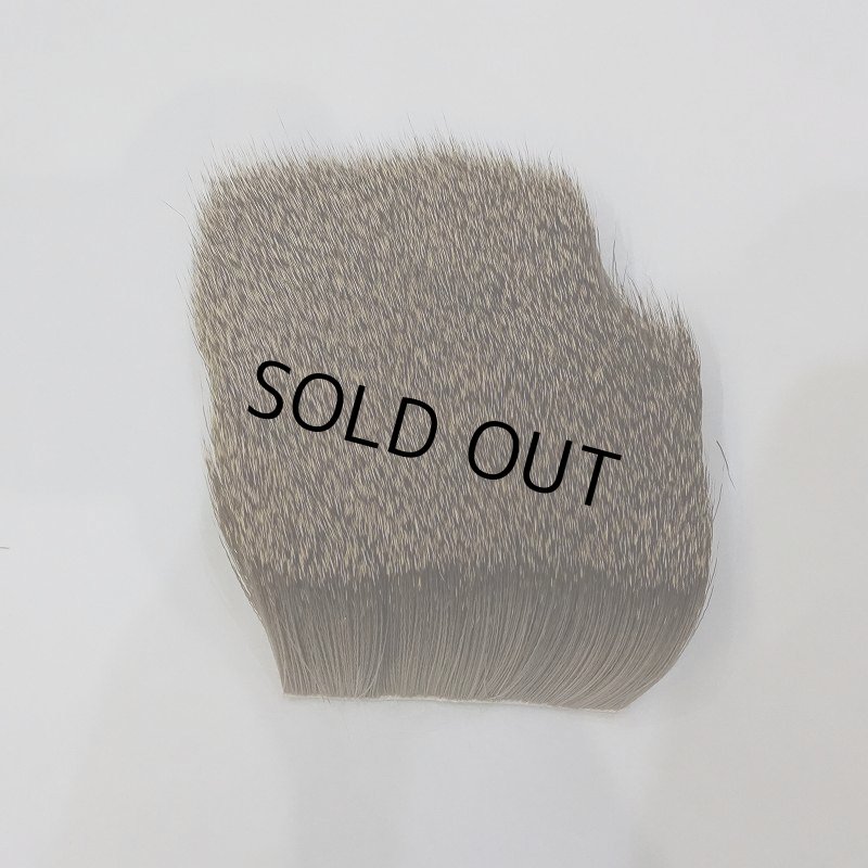 画像1: 【SWISSCDC】カプリオーロ(ディアヘア) - インベルネーレ(冬毛) (1)