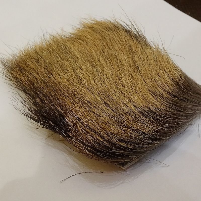 画像2: 【SWISSCDC】カモッシオ（シャモアヘア）- オットゥーノ(秋毛)　 (2)