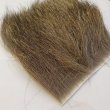 画像2: 【SWISSCDC】カモッシオ（シャモアヘア）- インヴェルノ (冬毛) (2)