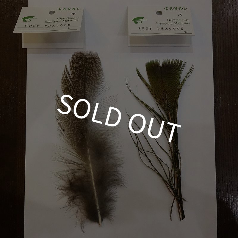 画像1: 【CANAL】SPEY PEACOCK L (1)