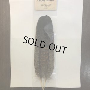 画像1: 【ANGLE】 RED PHEASANT TAIL
