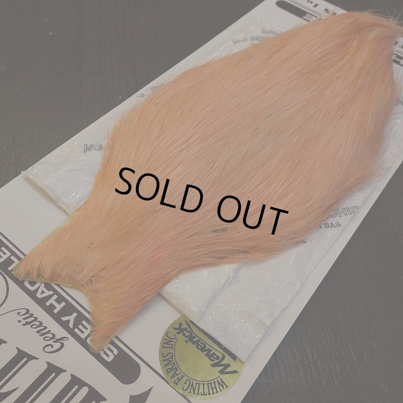 画像3: 【WHITING】Spey Hackle HenCape - WHITE/SALMON (3)