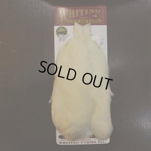 画像1: 【WHITING】Coq de Leon Hen Cape - White