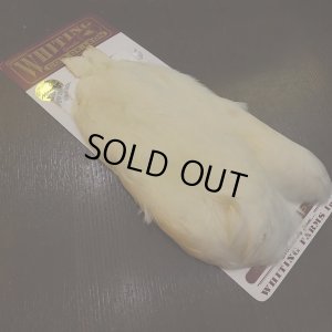 画像2: 【WHITING】Coq de Leon Hen Cape - White