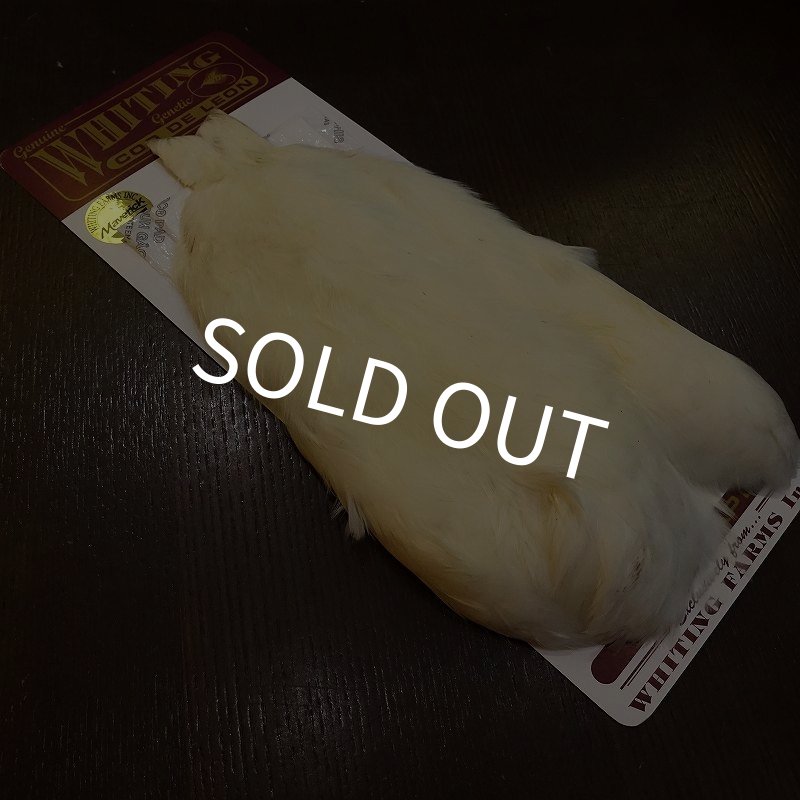 画像2: 【WHITING】Coq de Leon Hen Cape - White (2)