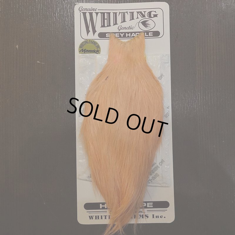画像1: 【WHITING】Spey Hackle HenCape - WHITE/SALMON (1)
