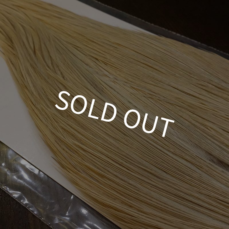 画像4: 【WHITING】Hebert Silver Grade Cape - UNIQUE VARIANT (4)