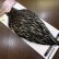画像2: 【WHITING】American Hen Cape BLACK LACED WHITE (2)
