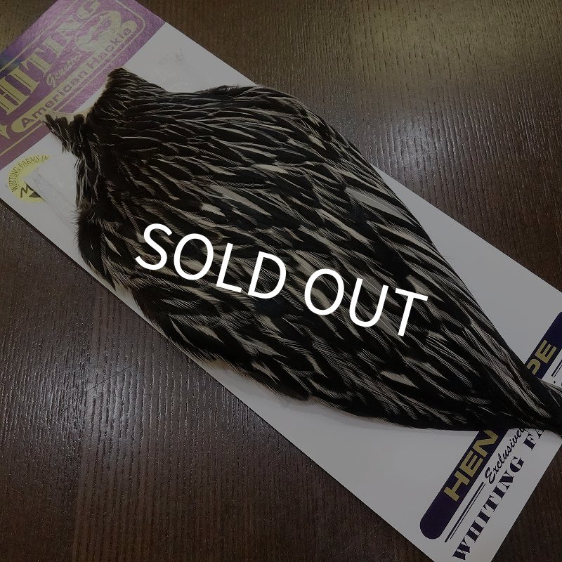 画像2: 【WHITING】American Hen Cape BLACK LACED WHITE (2)