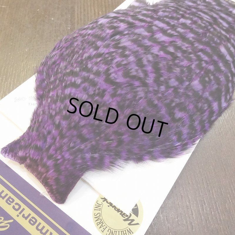 画像4: 【WHITING】American Hen Cape - GRIZZLY (4)