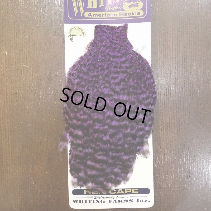 画像2: 【WHITING】American Hen Cape - GRIZZLY (2)