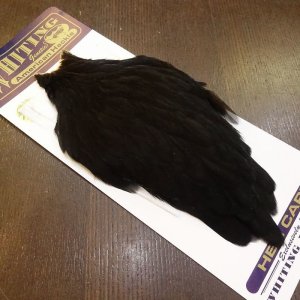 画像2: 【WHITING】American Hen Cape - BLACK
