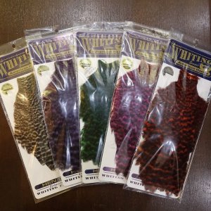 画像1: 【WHITING】American Hen Cape - GRIZZLY