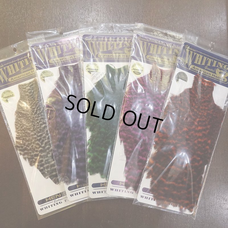 画像1: 【WHITING】American Hen Cape - GRIZZLY (1)