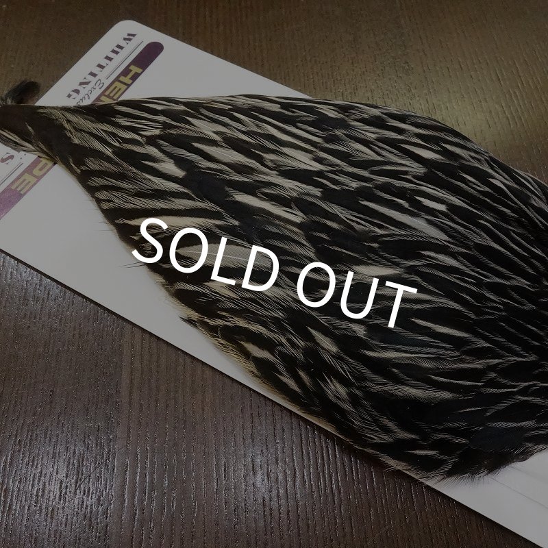 画像4: 【WHITING】American Hen Cape BLACK LACED WHITE (4)