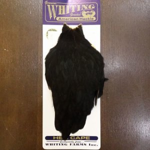 画像1: 【WHITING】American Hen Cape - BLACK