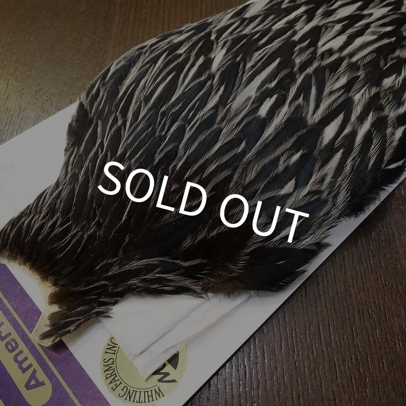 画像3: 【WHITING】American Hen Cape BLACK LACED WHITE (3)