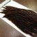 画像4: 【WHITING】Hebert Hen Cape - Brown No.3 (4)