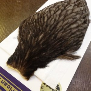 画像3: 【WHITING】American Hen Cape - NATURAL DARK DUN