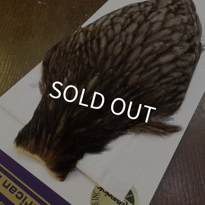 画像3: 【WHITING】American Hen Cape - NATURAL DARK DUN (3)