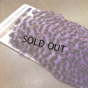 画像5: 【WHITING】American Hen Cape - GRIZZLY