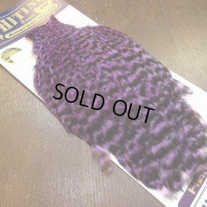 画像3: 【WHITING】American Hen Cape - GRIZZLY