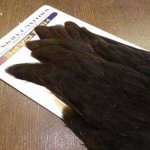 画像4: 【WHITING】American Hen Cape - BLACK