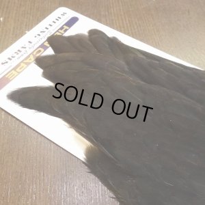 画像4: 【WHITING】American Hen Cape - BLACK