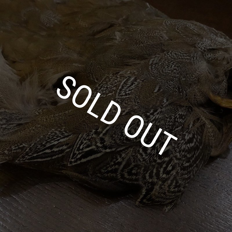 画像4: 【CANAL】SPECKLED PHEASANT BODY (4)