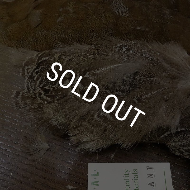 画像6: 【CANAL】SPECKLED PHEASANT BODY (6)