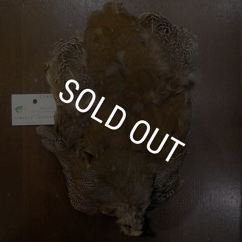 画像1: 【CANAL】SPECKLED PHEASANT BODY (1)