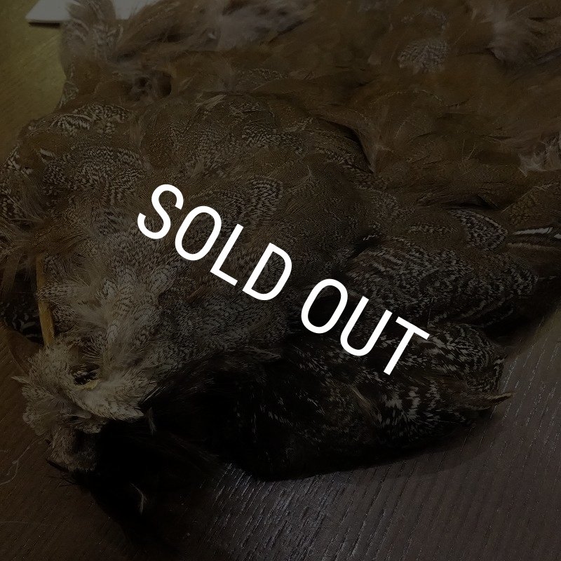 画像3: 【CANAL】SPECKLED PHEASANT BODY (3)