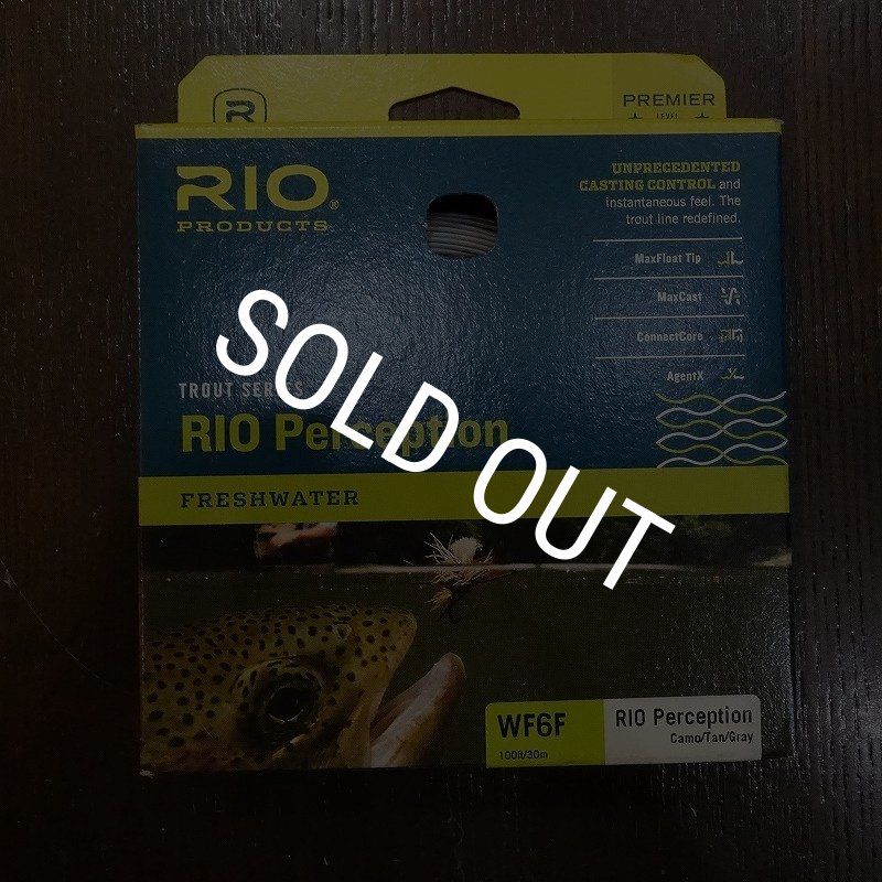 画像1: 【RIO】Perception WF (SALE) (1)