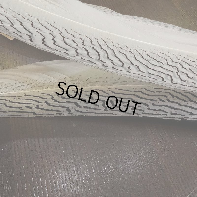 画像4: 【CANAL】Silver Pheasant コンプリートテール (4)