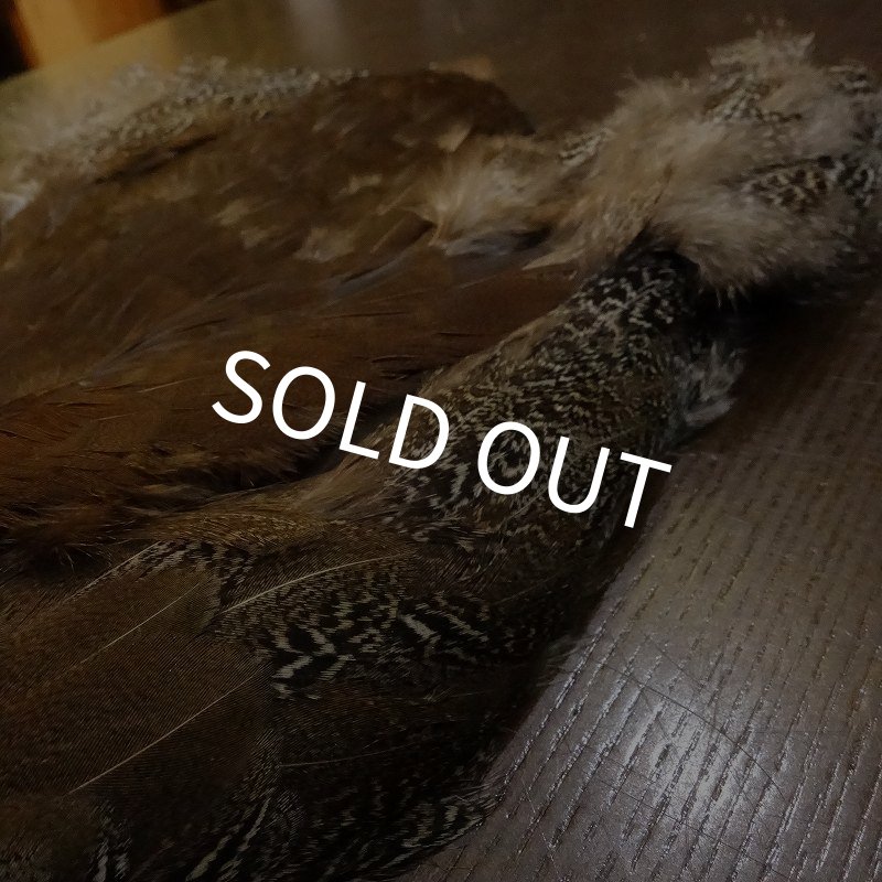 画像3: 【CANAL】HEN SPECKLED PHEASANT BODY (3)