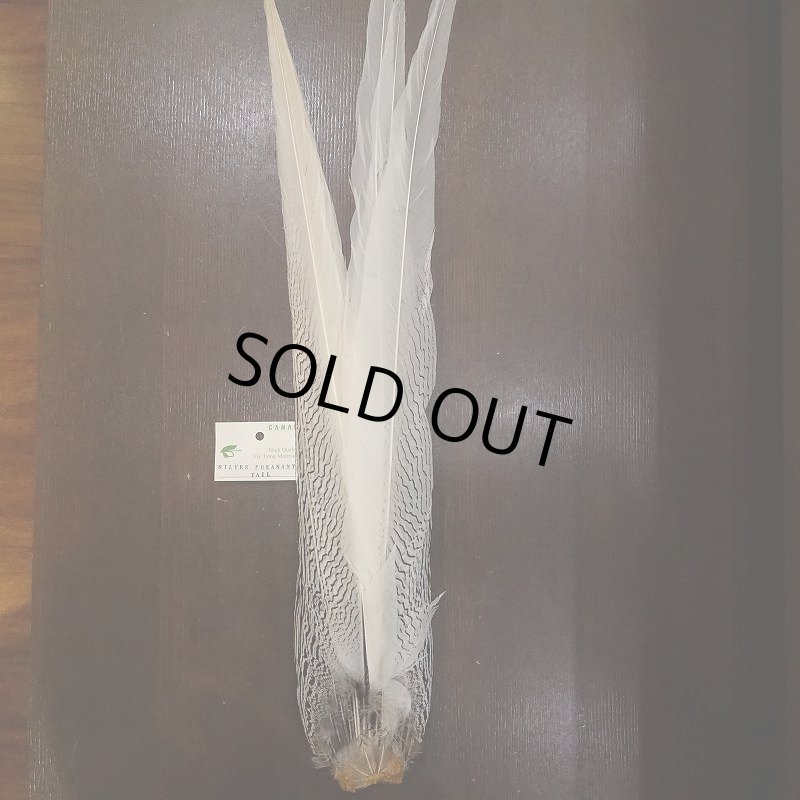 画像1: 【CANAL】Silver Pheasant コンプリートテール (1)