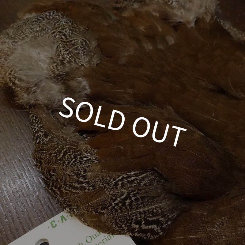 画像4: 【CANAL】HEN SPECKLED PHEASANT BODY (4)