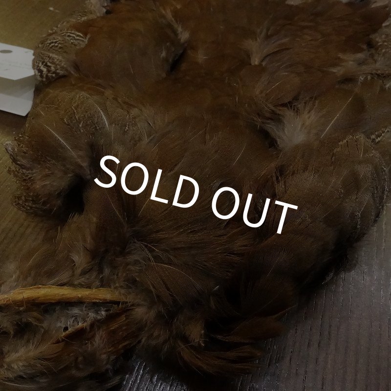 画像2: 【CANAL】HEN SPECKLED PHEASANT BODY (2)