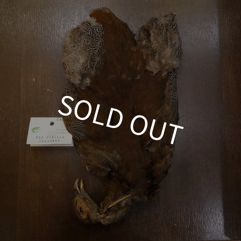 画像1: 【CANAL】HEN SPECKLED PHEASANT BODY (1)