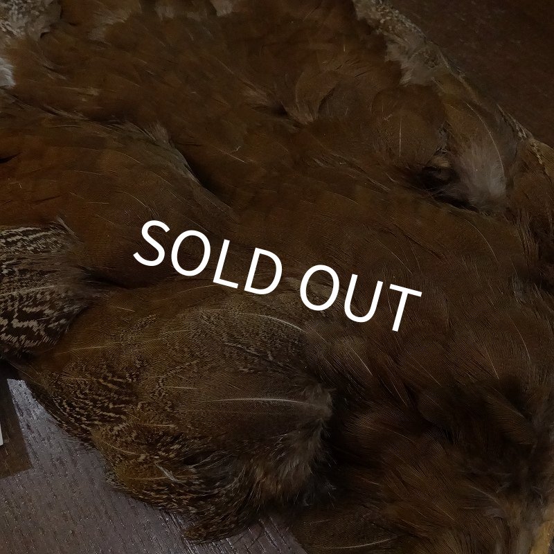 画像5: 【CANAL】HEN SPECKLED PHEASANT BODY (5)