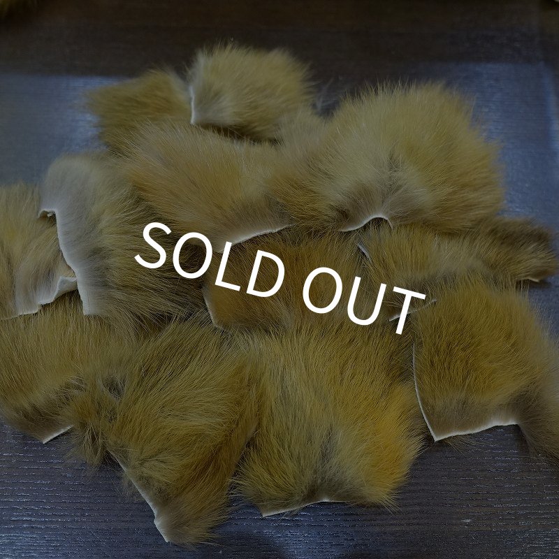 画像1: 【D】キテン　ボディファー (1)