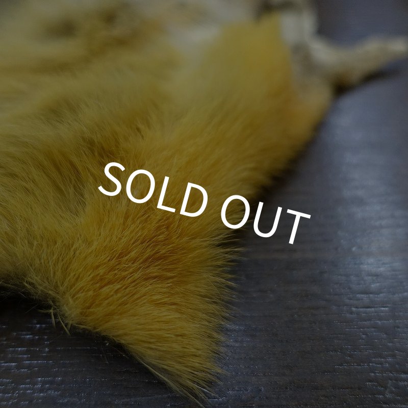 画像2: 【D】キテン マスク (2)