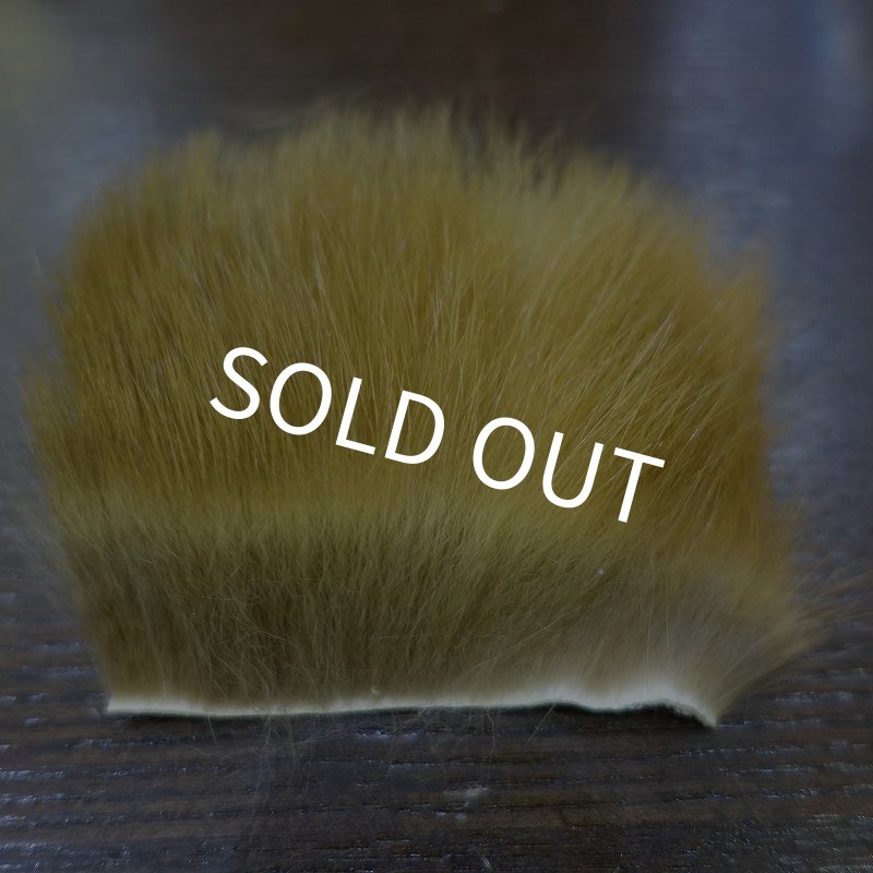 画像2: 【D】キテン　ボディファー (2)