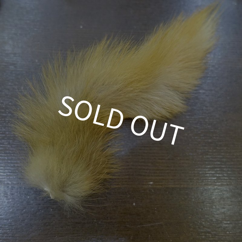 画像1: 【D】キテン テール (1)